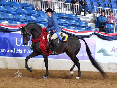 RBC Show Horses