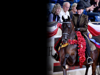 RBC Show Horses