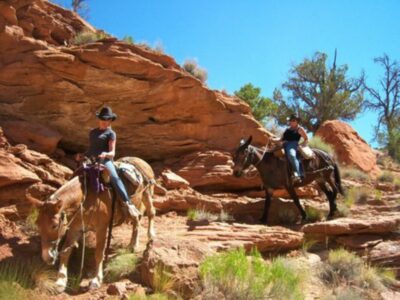 Mecham Outfitters: Willis Creek Slot Canyon and Escalante Grand Staircase National Monument