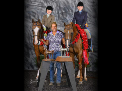 RBC Show Horses