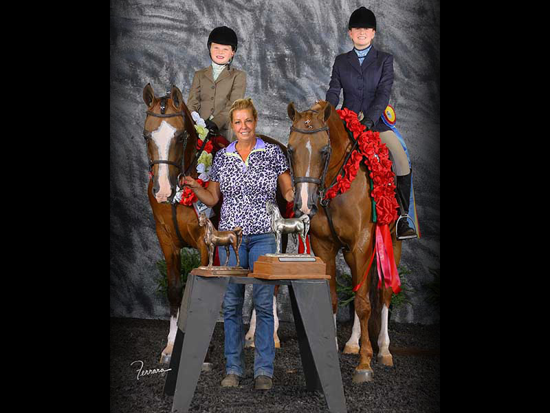 RBC Show Horses