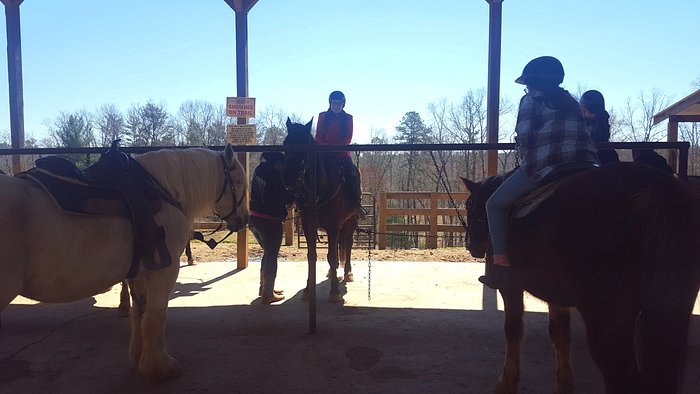 Blanche Manor Horseback Riding