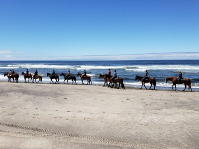 Twin Creeks Beach And Trail Rides