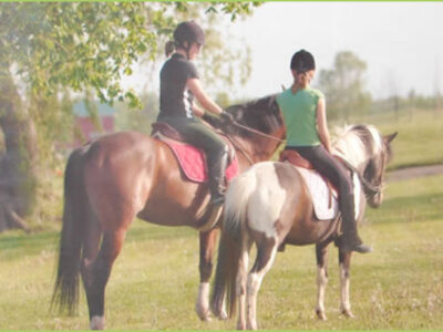 Lake Equestrian Center