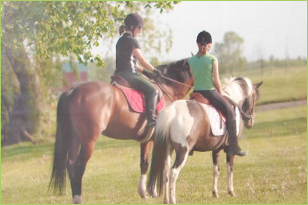 Lake Equestrian Center