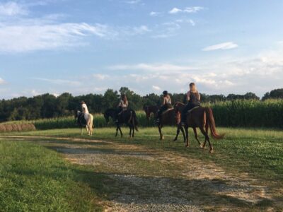 Country Time Equestrian Events