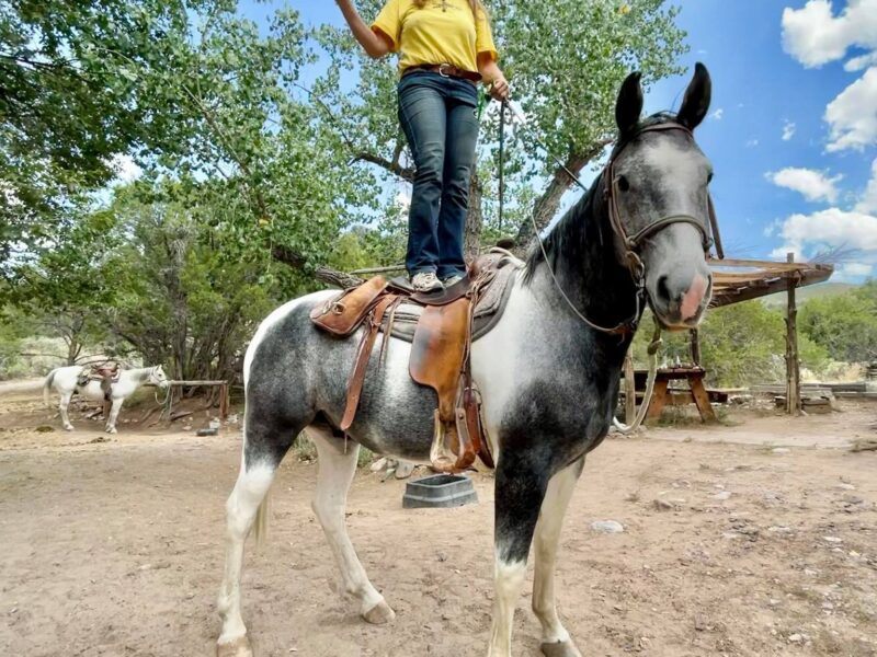 Cieneguilla Stables