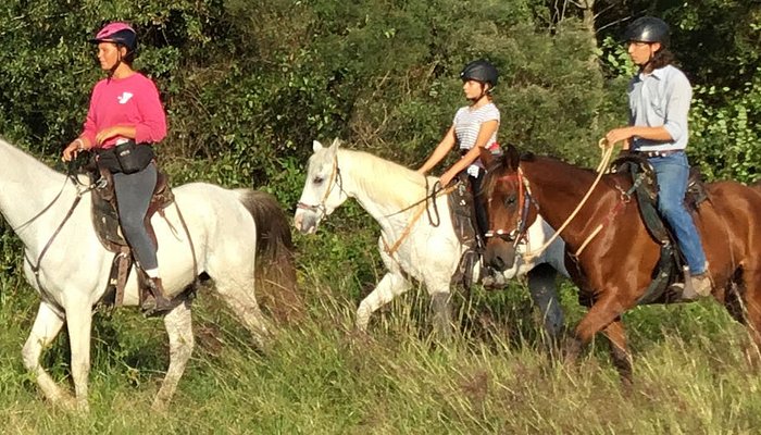 Cypress Trails Ranch