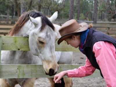 Mountain Horse Farm