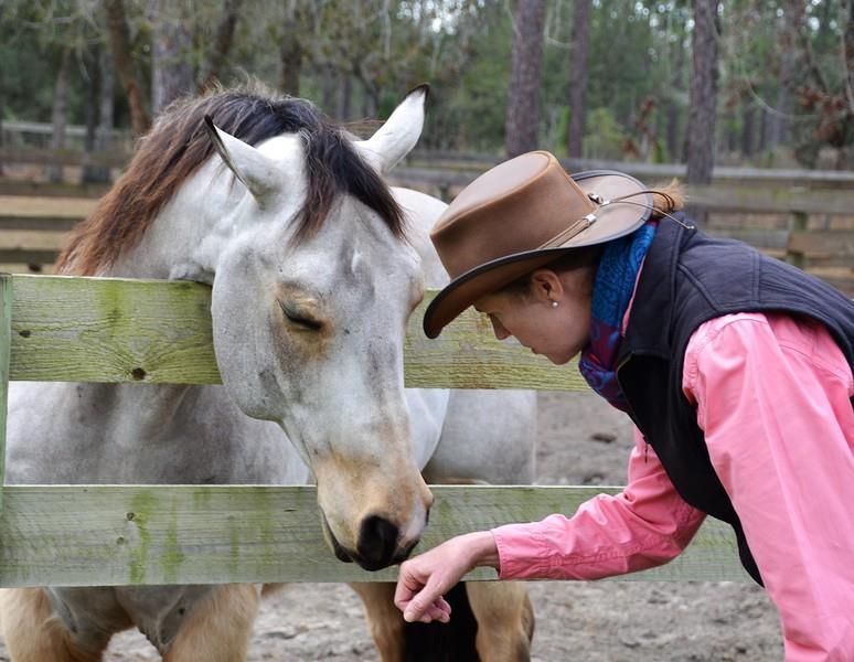 Mountain Horse Farm