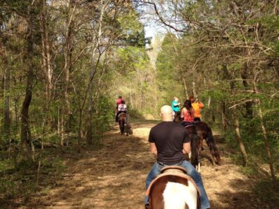 JuRo Stables