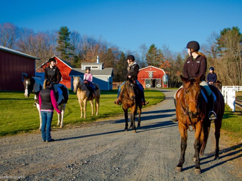Tough-E-Nuf Stables