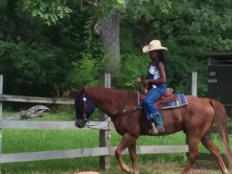 Kankakee River State Park Riding Stables
