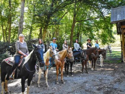 Bucktown Stables