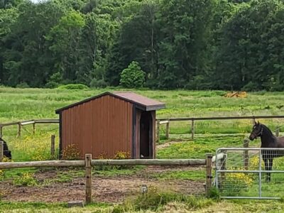 Peaceful Valley Equestrian Center