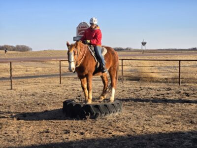 Fort Ridgely Equestrian Center