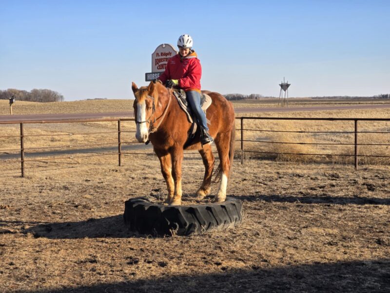 Fort Ridgely Equestrian Center