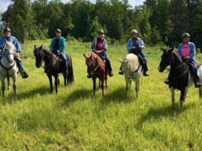 Cook Forest Area Scenic Trailride
