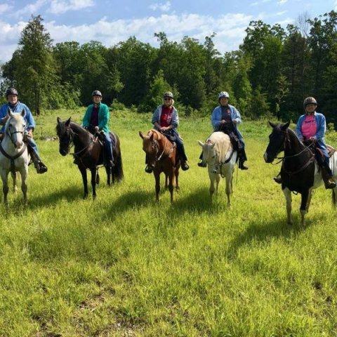 Cook Forest Area Scenic Trailride