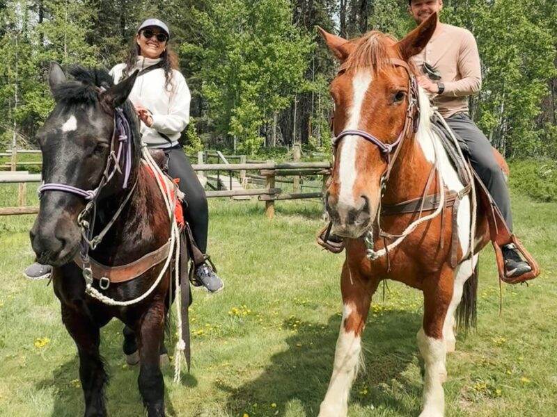 Sun Mountain Stables
