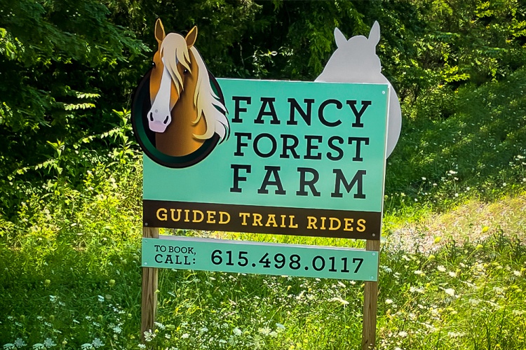 Fancy Forest Farm