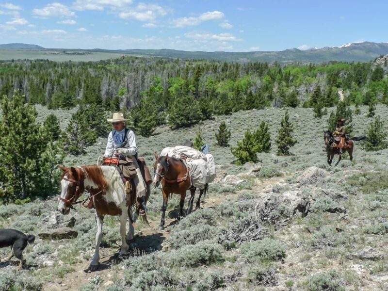 Wind River: Wind River Country Wyoming