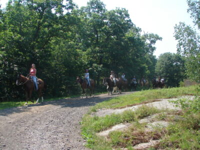 Echo Lake Stables