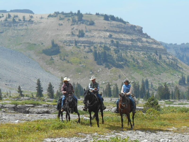 Dry Ridge Outfitters: Wyoming and Idaho Horseback Riding Adventures