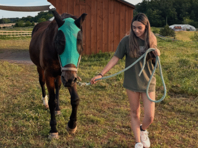 Equine Connection Center