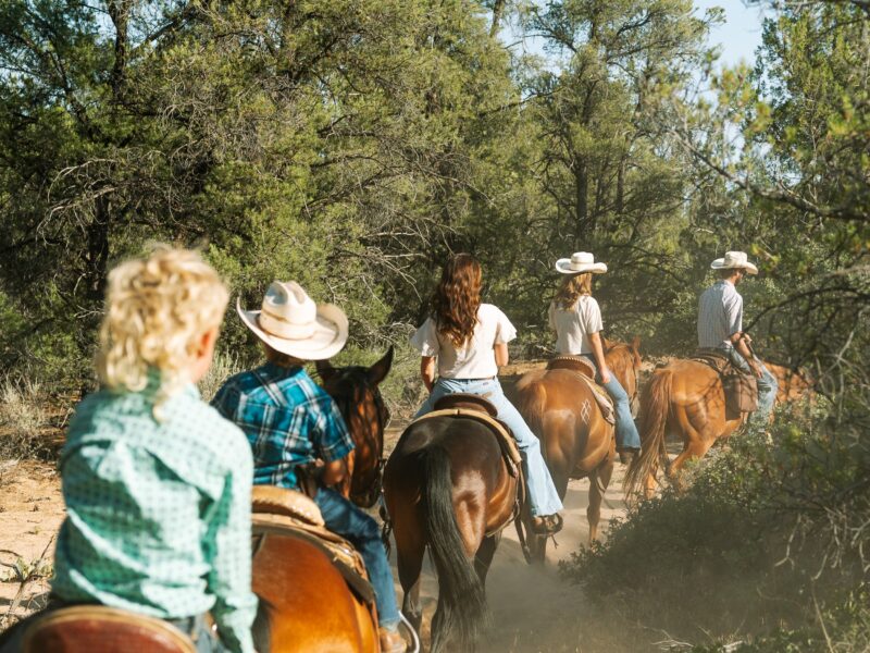 Western Horseback Trail Rides