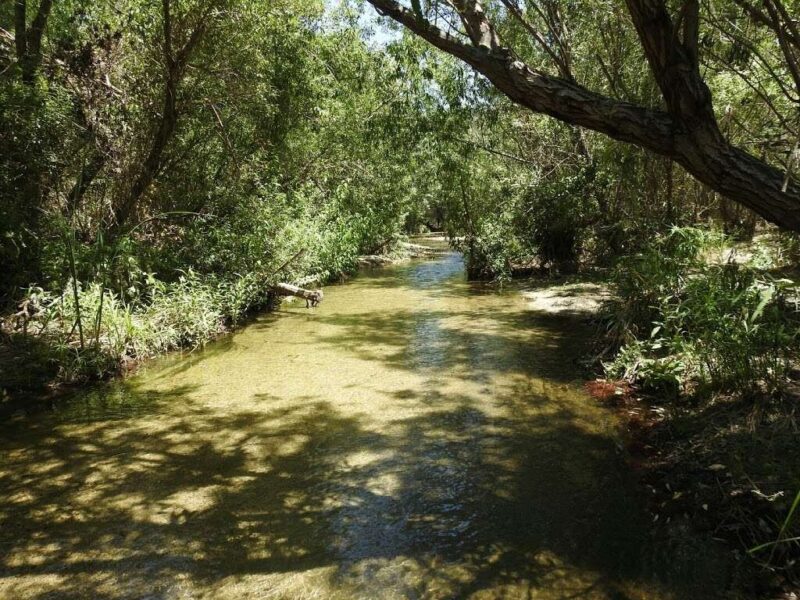 Monte Verde Ranch