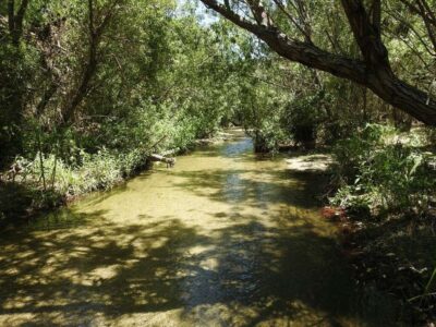 Monte Verde Ranch
