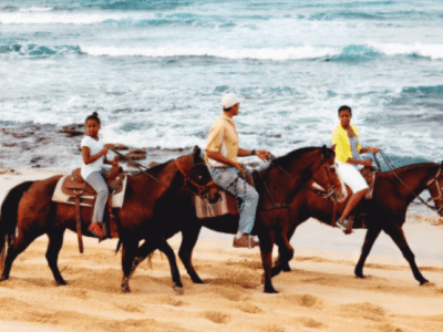 Hawaii Polo Trail Rides
