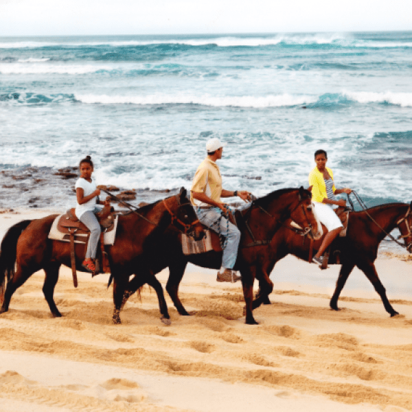 Hawaii Polo Trail Rides