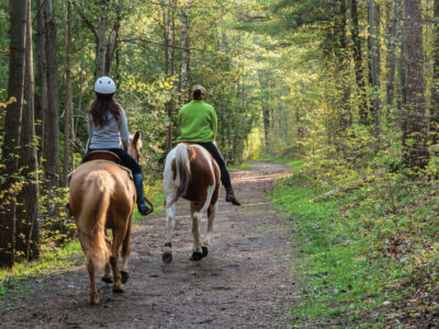 Nantahala Village Riding Stable