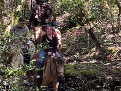 Out N About TreeHouse Treesort Horesback Riding Tours