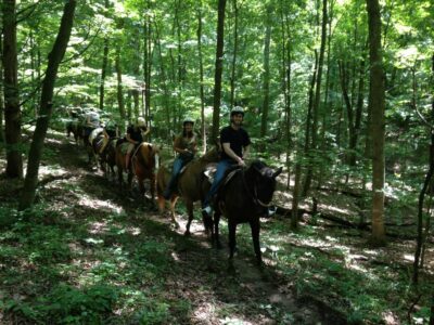 Whispering Woods Riding Stable