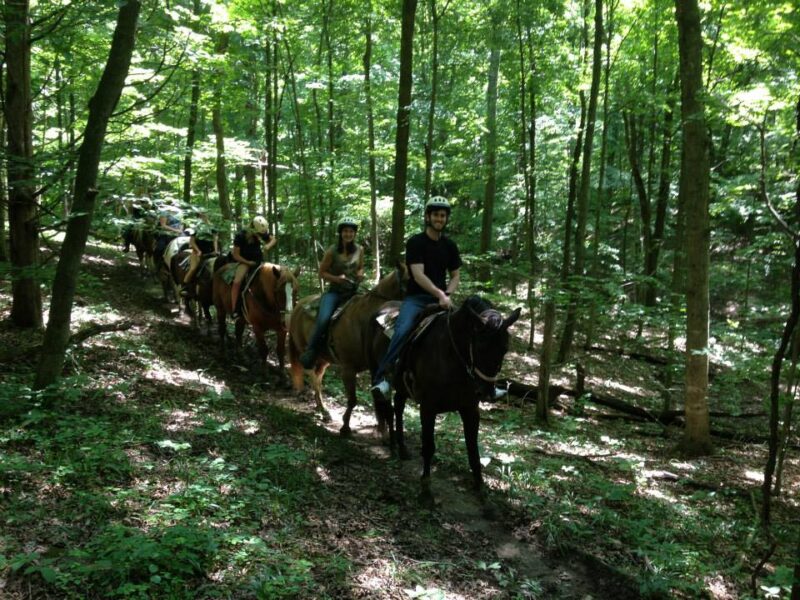 Whispering Woods Riding Stable