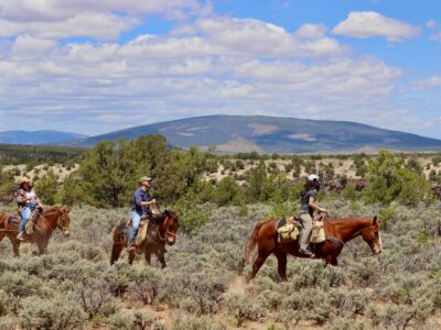 Rio Grande Stables