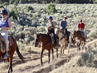 Rio Grande Stables
