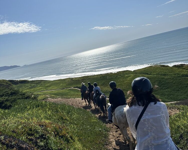 Ocean View Stables