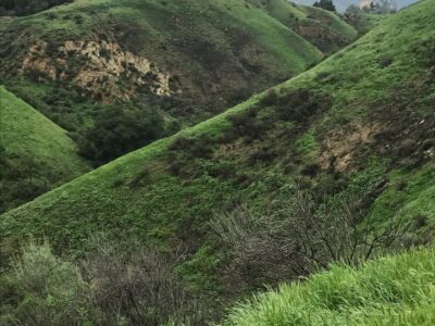 Monte Verde Ranch