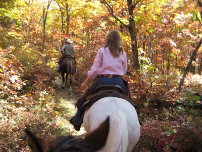 Echo Lake Stables