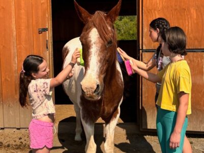 Equine Connection Center