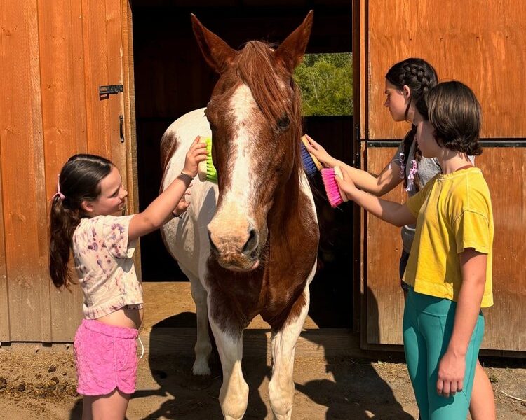 Equine Connection Center