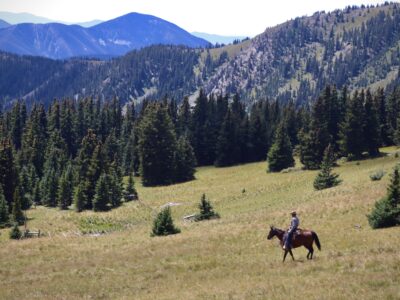 Rio Grande Stables