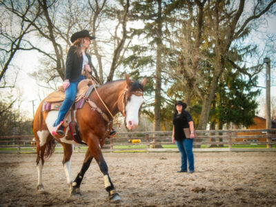 Timmermann's Ranch & Saddle Shop