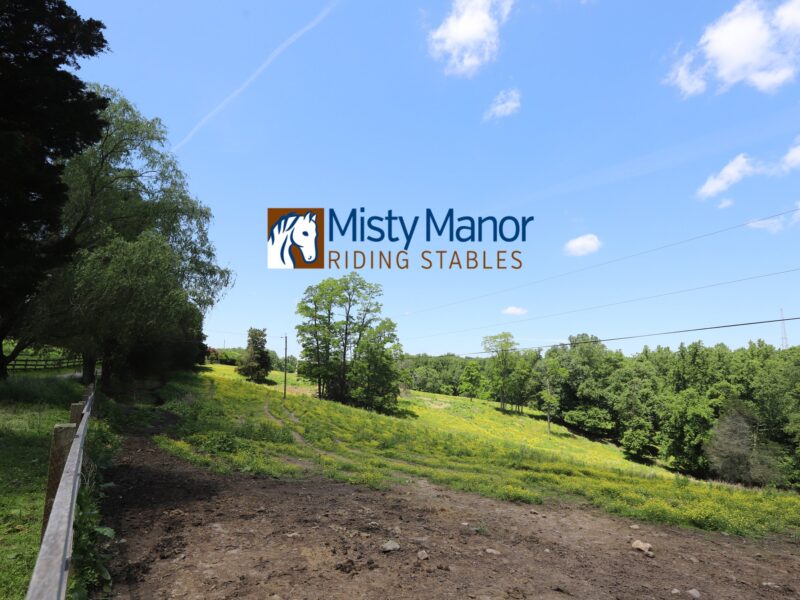 Misty Manor Riding Stables