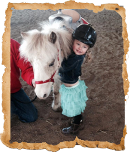Oregon Dream Ponies
