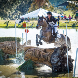 Kingfisher Park Equestrian